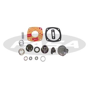 Reparo Compr. Ar Holset Comp.