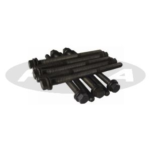 Parafuso de Cabeçote 504/ 505 (15 Medios, 7Longos) [Jg.]