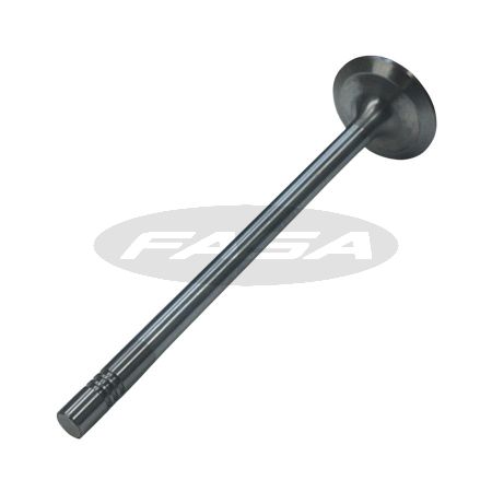 Válvula de Admissão Man D2676 440cv