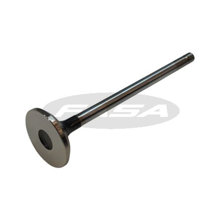 Válvula de Escape Cummins ISF 2.8 16V Ford/ Vw 14/...