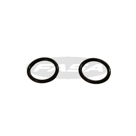 Anel Vedação Câmbio FS11109
