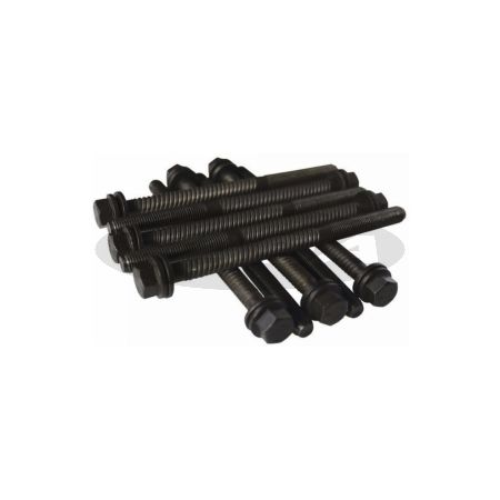 Parafuso de Cabeçote 504/ 505 (15 Medios, 7Longos) [Jg.]
