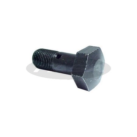 Parafuso Banjo 1006/ 4236/ 6354 1/